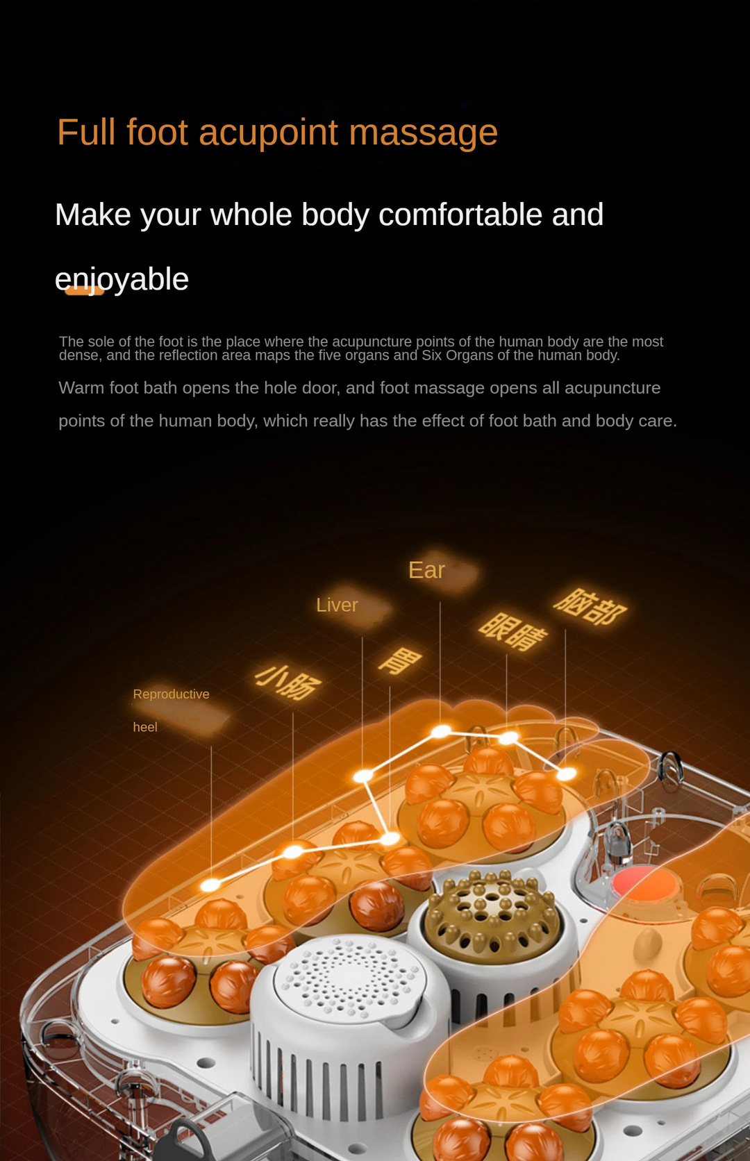 Premium Foot Spa Bath Massager with Heat, 12 Rollers, Digital Control, Pedicure Stone for Acupressure Shiatsu Massage, Foot Pain Relief, Adjustable Temperature, Home Foot Soak Therapy - PhysioFitLab