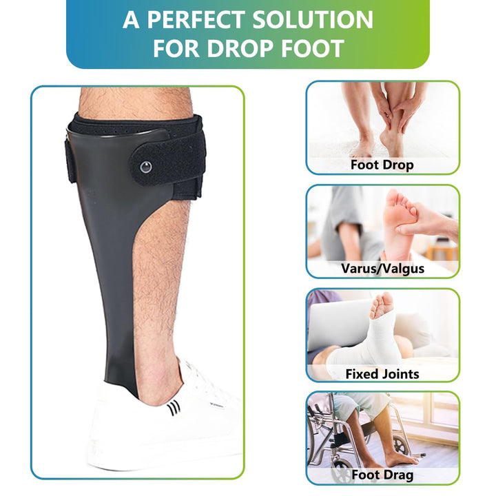 Premium AFO Drop Foot Brace Orthosis - Lightweight Ankle Support Stabilizer for Men and Women, Comfort Fit for Foot Drop, Arthritis, Sprains, and Rehabilitation, Multiple Sizes Available - PhysioFitLab